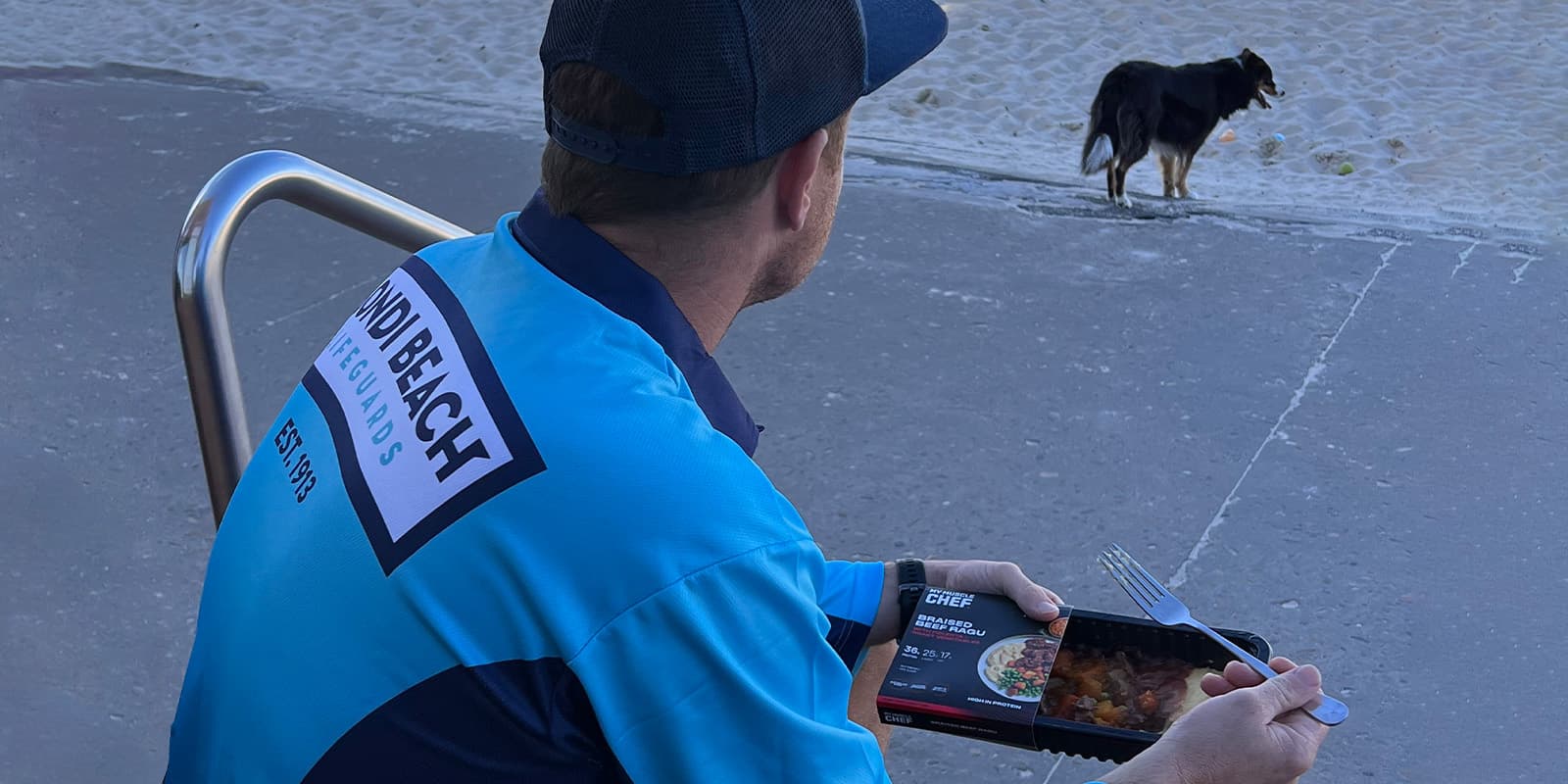 Whippet eating braised beef ragu at the beach