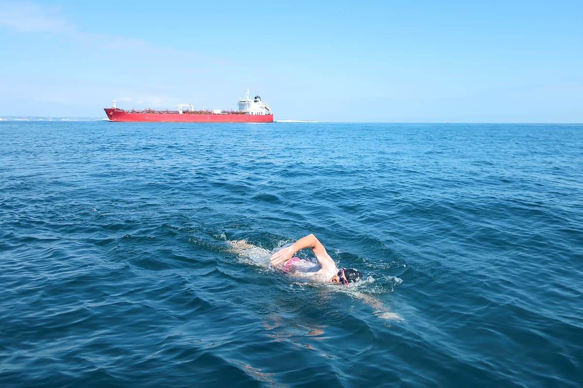 Whippet swimming in the ocean