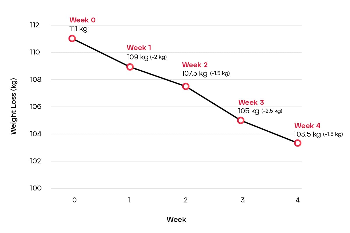 My Muscle Chef statistics