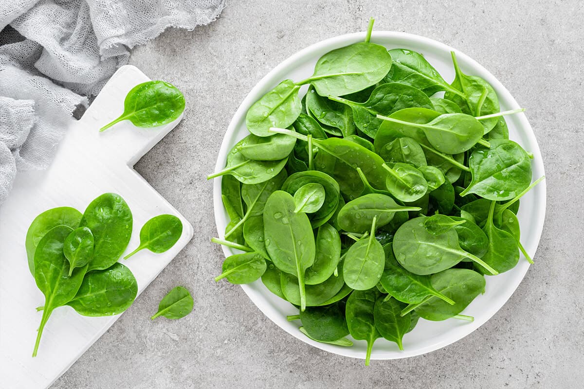 Bowl of spinach leaves